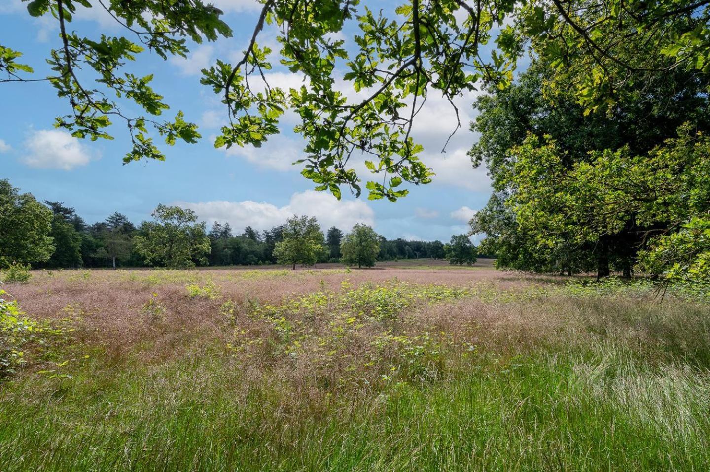 Landhuisje 31 'De Akkersteen' Bospark Ijsselheide Zwolle Hattemerbroek Luaran gambar