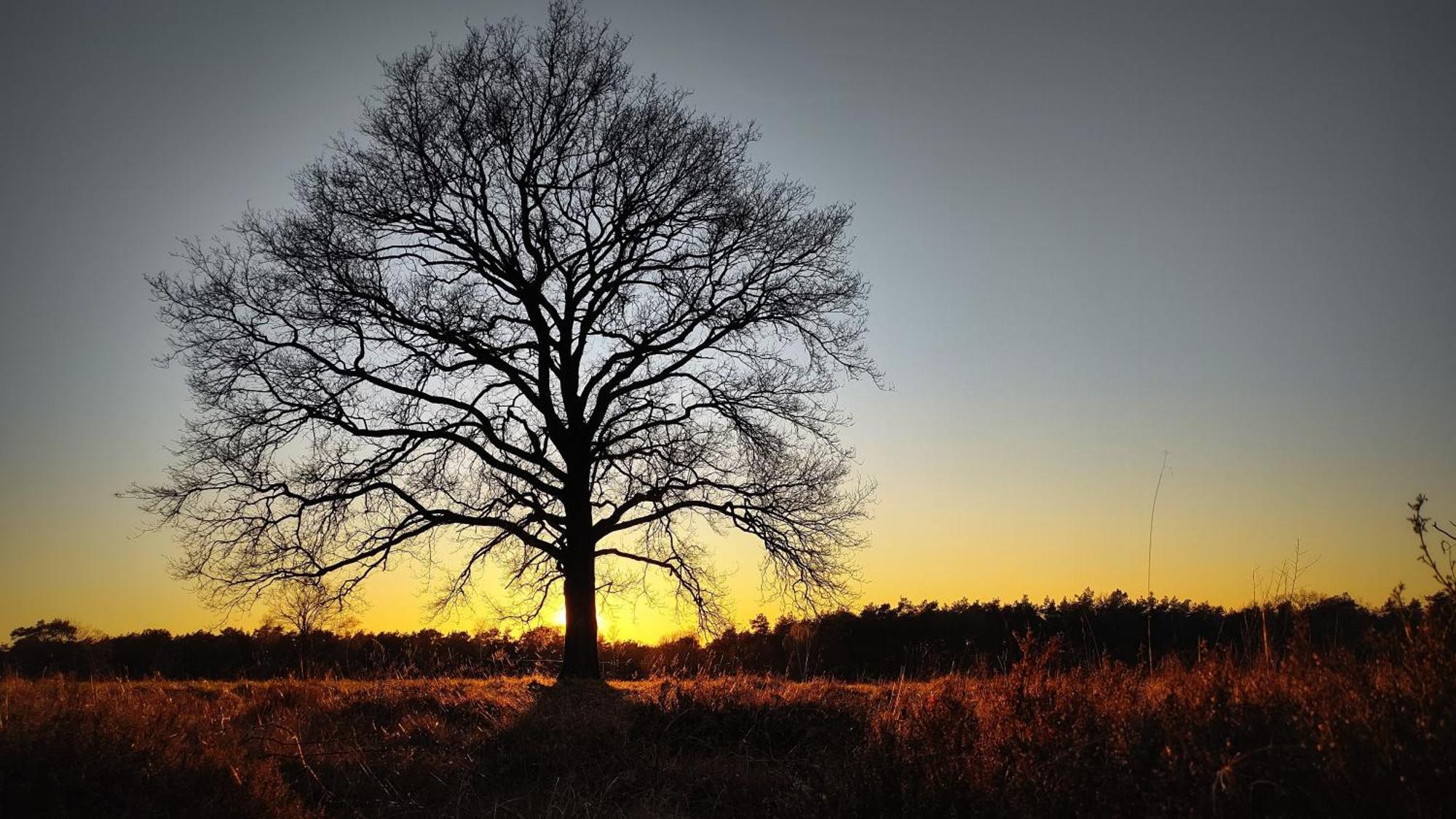 Landhuisje 31 'De Akkersteen' Bospark Ijsselheide Zwolle Hattemerbroek Luaran gambar